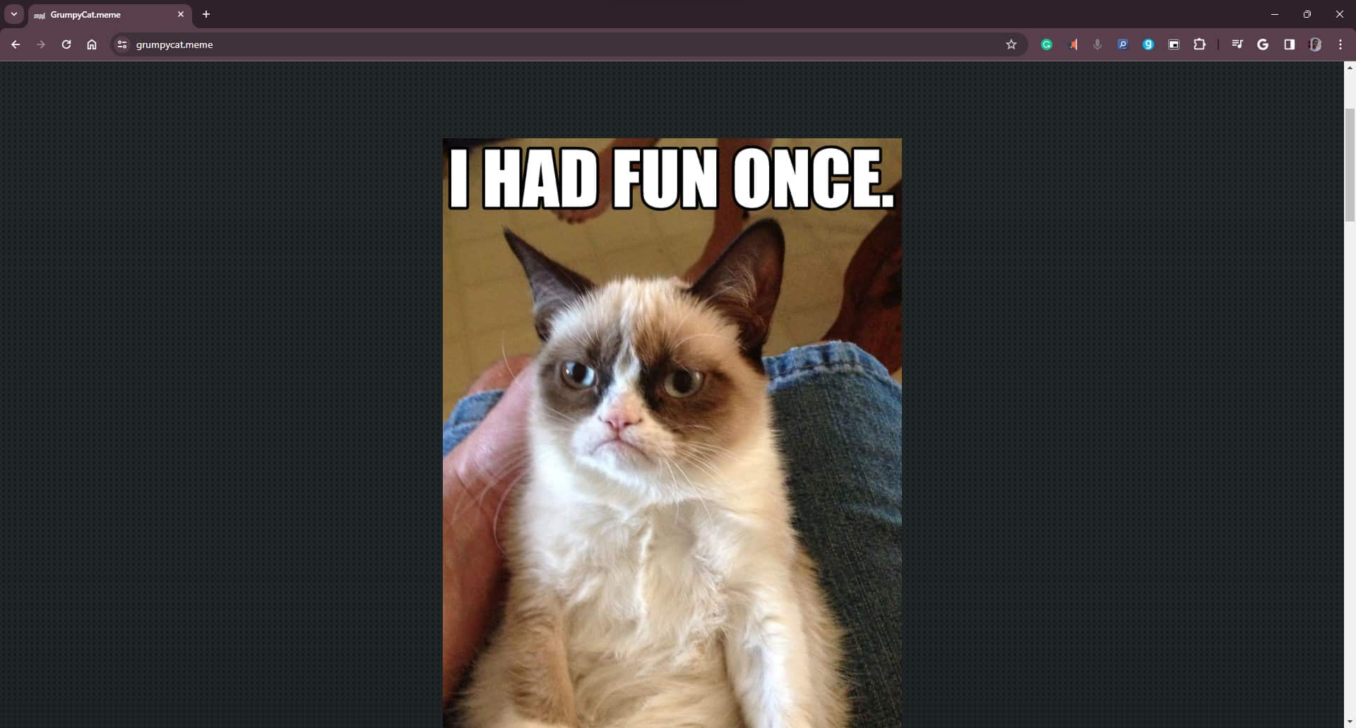 Featured image for Want to give your site some personality? Why not add a .meme domain?