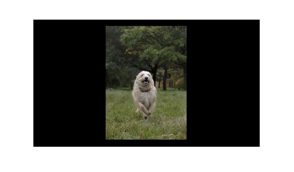 Pixel December Feature Drop Foto Onscherpte-upgrade