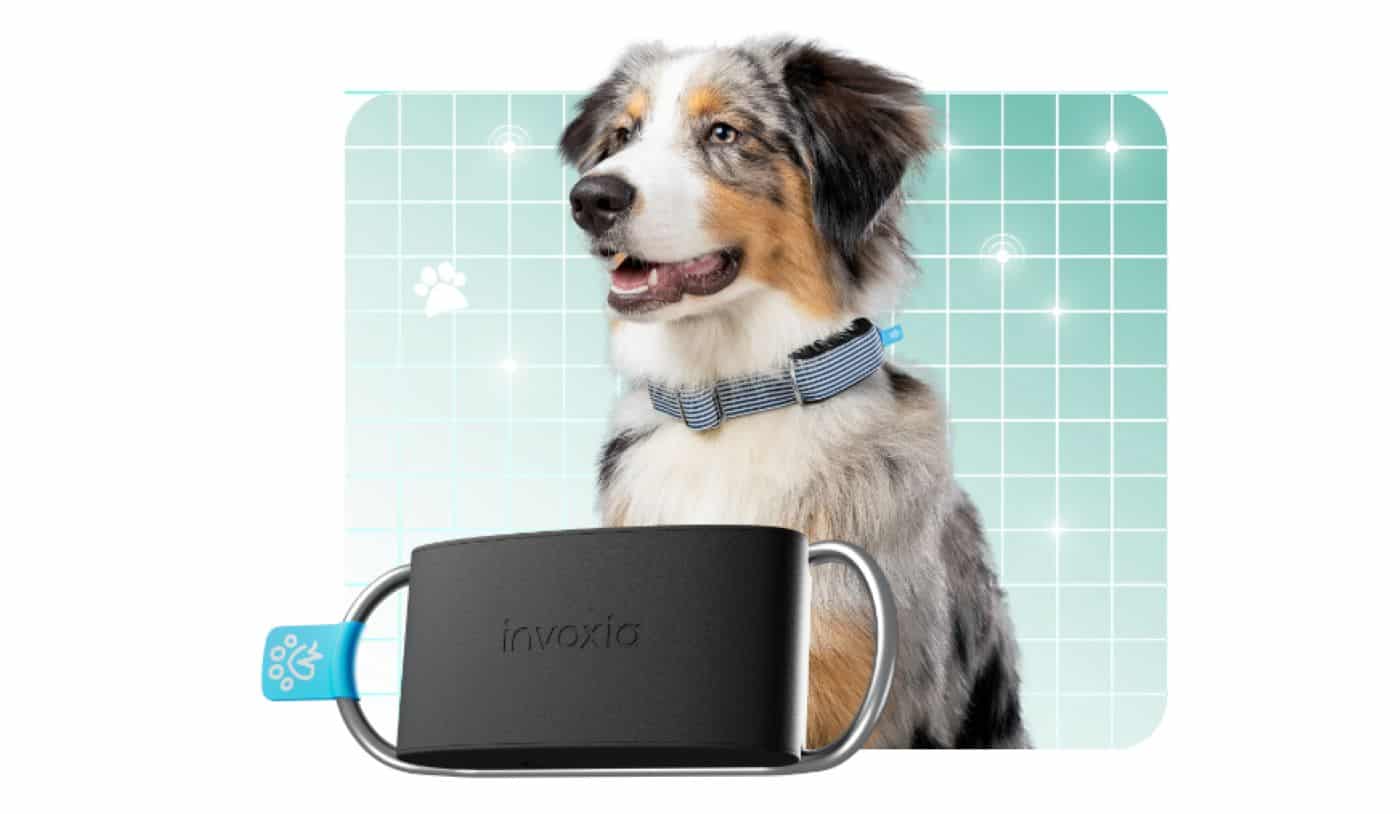 Featured image for This Smart Dog Collar from Invoxia can keep track of its well-being