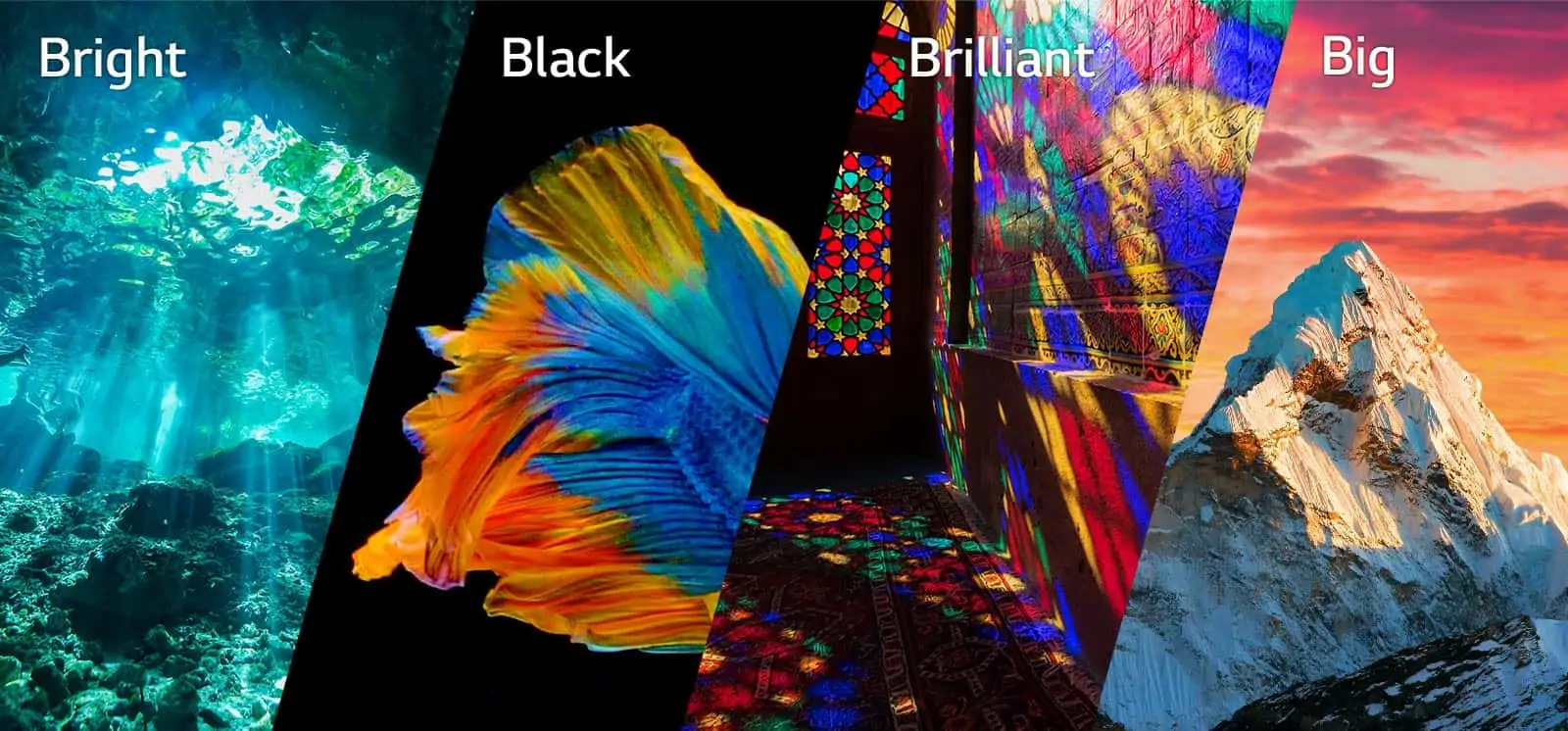 TV QNED 03 4B Desktop