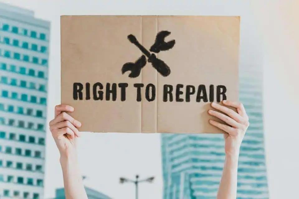 artikel 210729132655 1