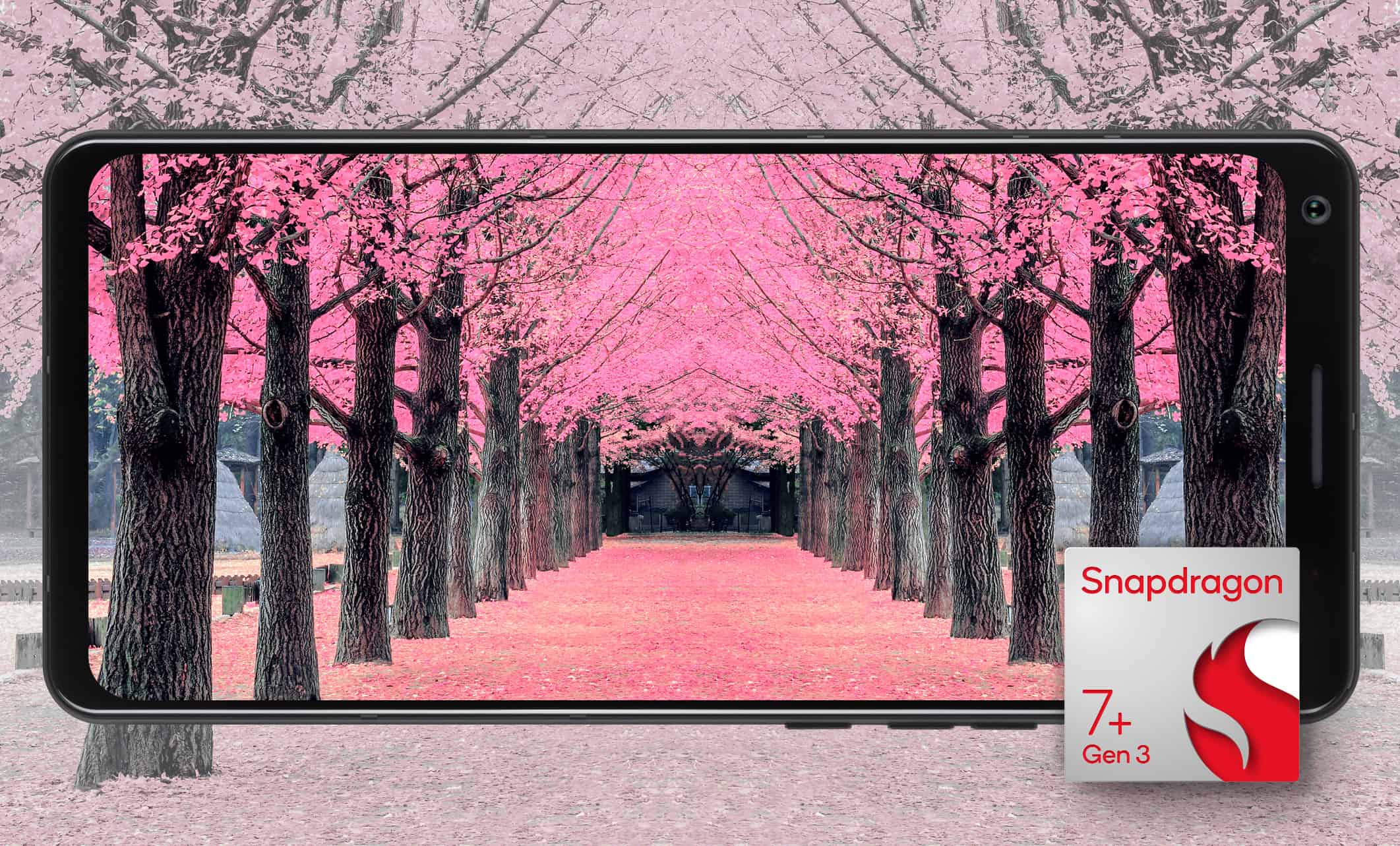 Uitzicht op roze bloeiende bomen in het park tijdens de herfst, Nami Island, Zuid-Korea