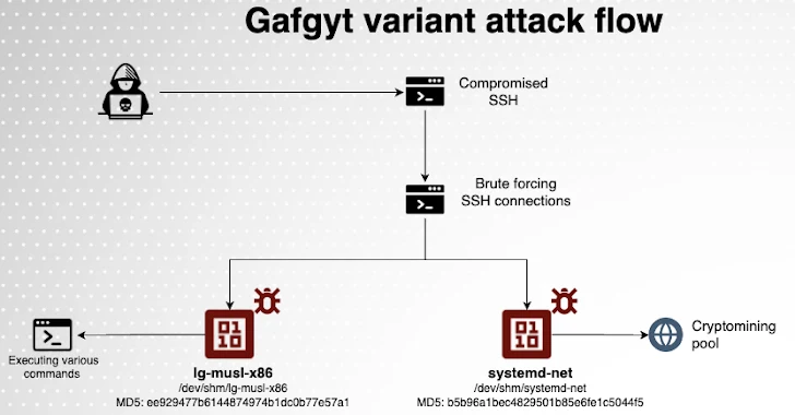 Gafgyt Botnet-variant Gafgyt Botnet-variant