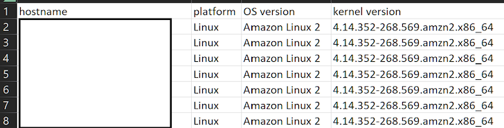 CrowdStrike RFM-rapport