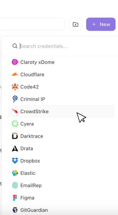 CrowdStrike RFM-rapport