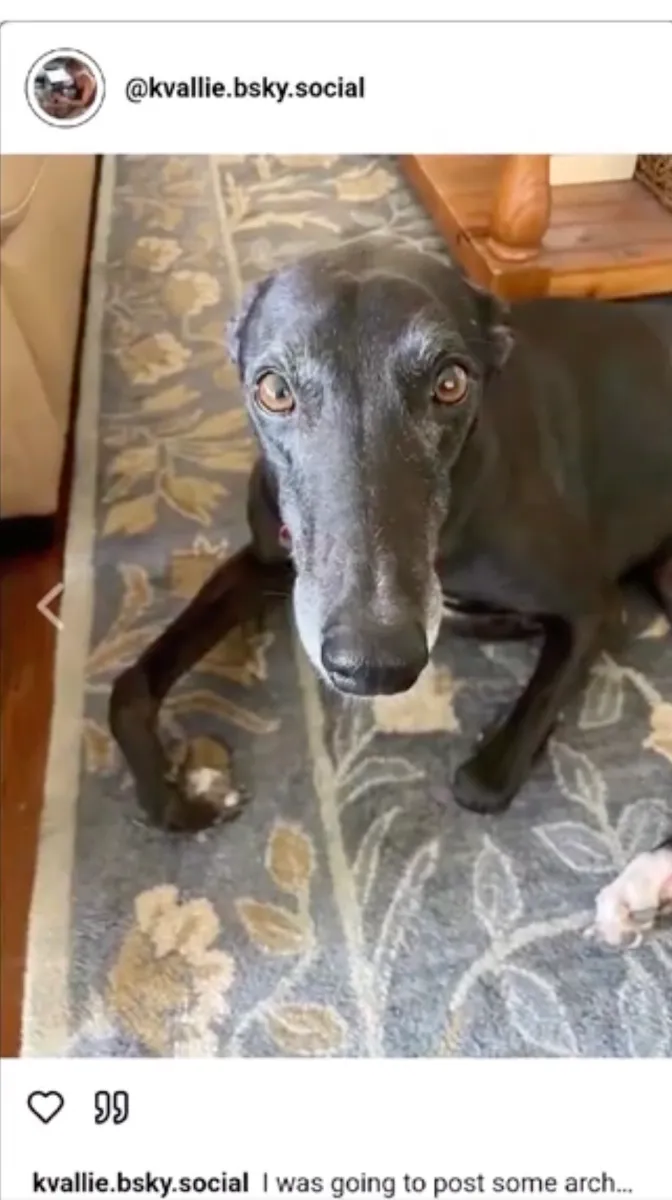 Skygram -afbeelding 1