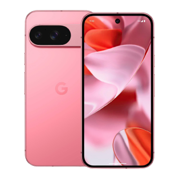 Google Pixel 9 Comp Box