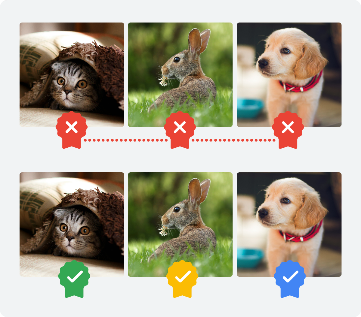 Google Pixel 10 Content -referenties (1)