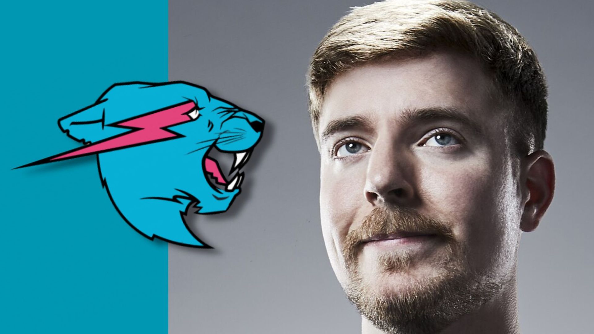 MrBeast lanceert naar verluidt volgend jaar een mobiele telefoonservice