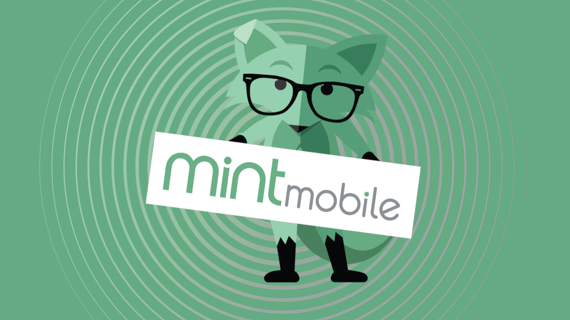 Mint Mobile kondigt 'Minernet' thuis internetdienst aan